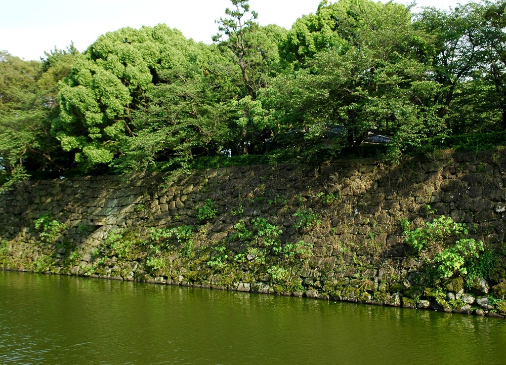 　　和歌山城公園にて_b0093754_22364470.jpg