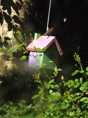 c0055857_1192124.jpg