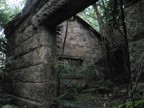 a0254759_040241.jpg