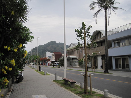 a0254759_0592075.jpg