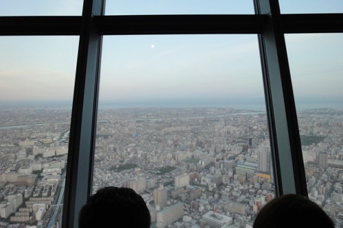 f0054859_10494776.jpg