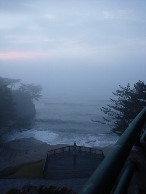 b0108363_2010576.jpg