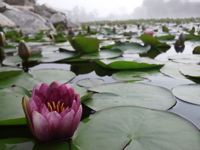 b0108363_20124261.jpg