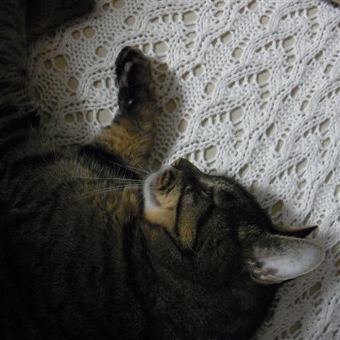 a0123465_05155100.jpg