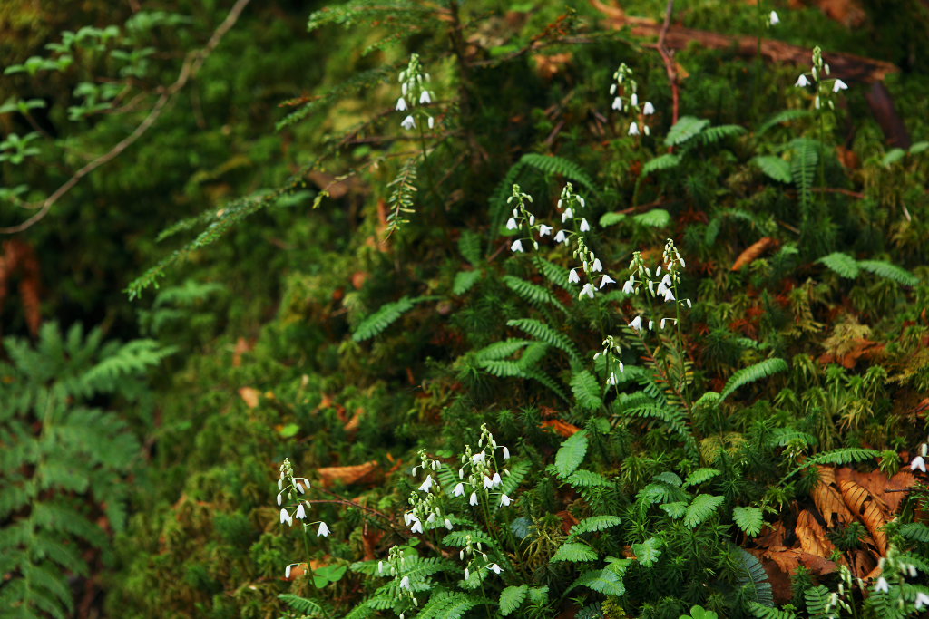 f0171065_22463259.jpg