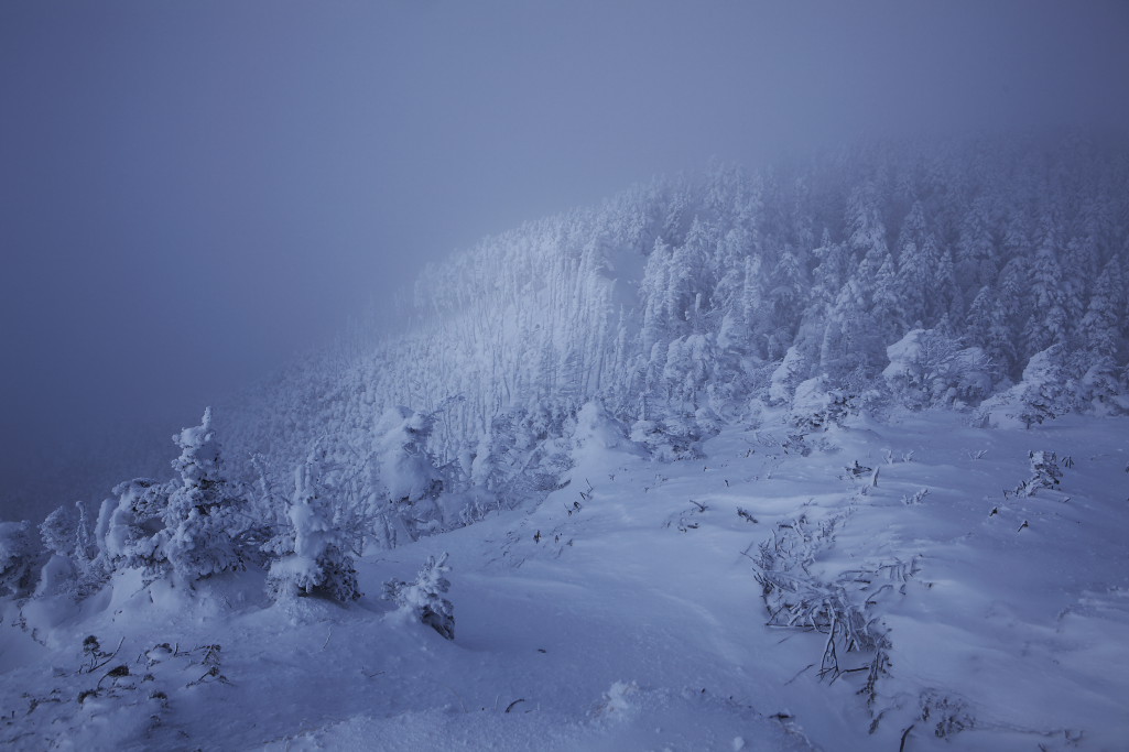 f0171065_22591151.jpg