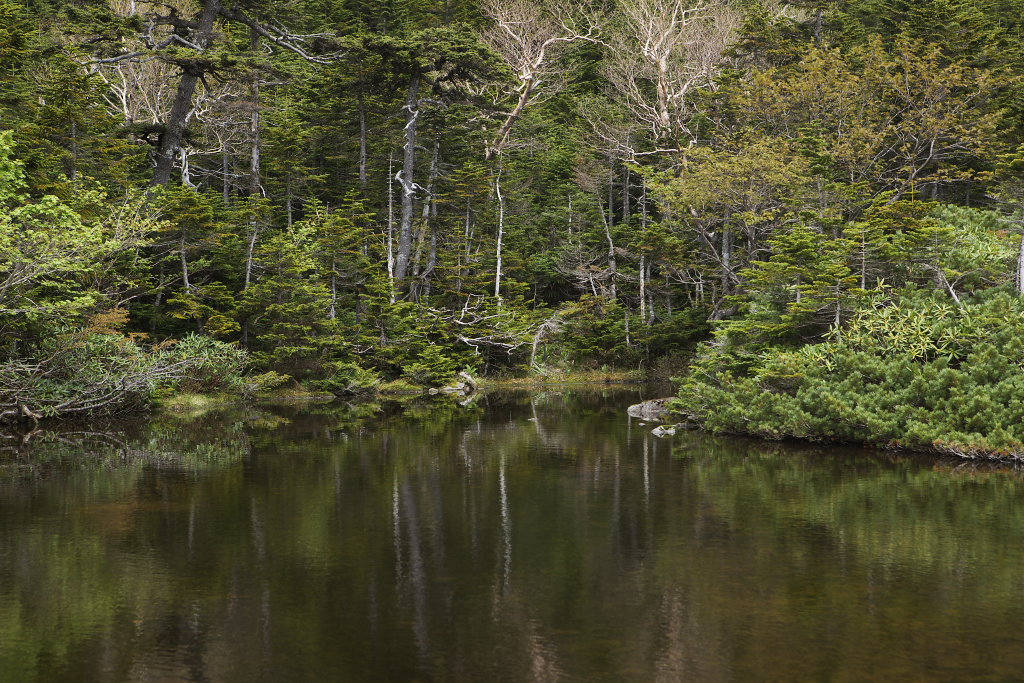 f0171065_235222.jpg