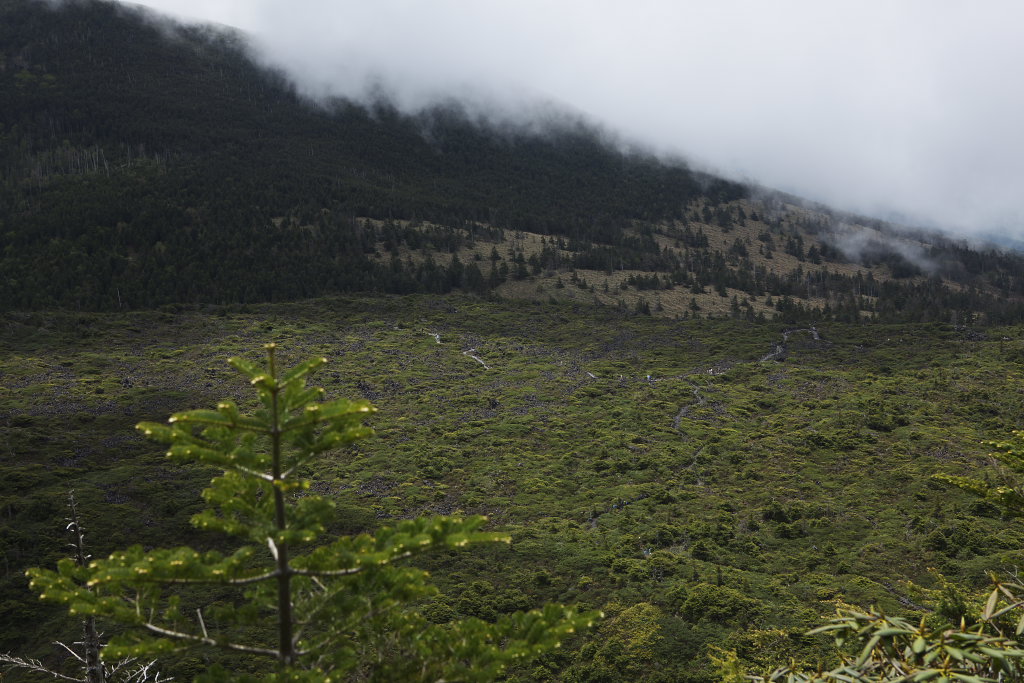 f0171065_2392686.jpg