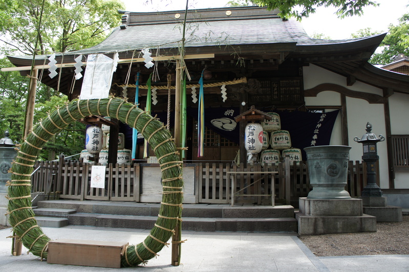 夏越の大祓　　2012.6.24_e0223769_20173432.jpg