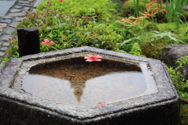 雨の東福寺・開山堂へ_b0055171_06872.jpg