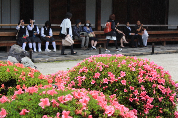 雨の東福寺・開山堂へ_b0055171_08113.jpg