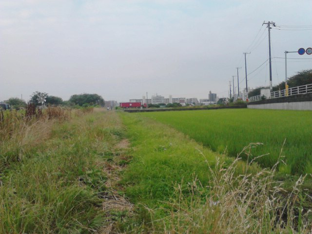 b0155973_2153817.jpg