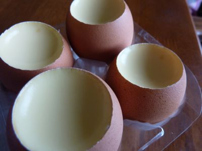 美味しんぼin高知_c0080075_524016.jpg