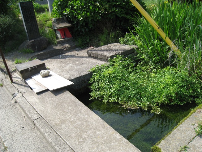 林道半田山線起点付近の風景～半田散歩から⑥_a0087378_4153878.jpg