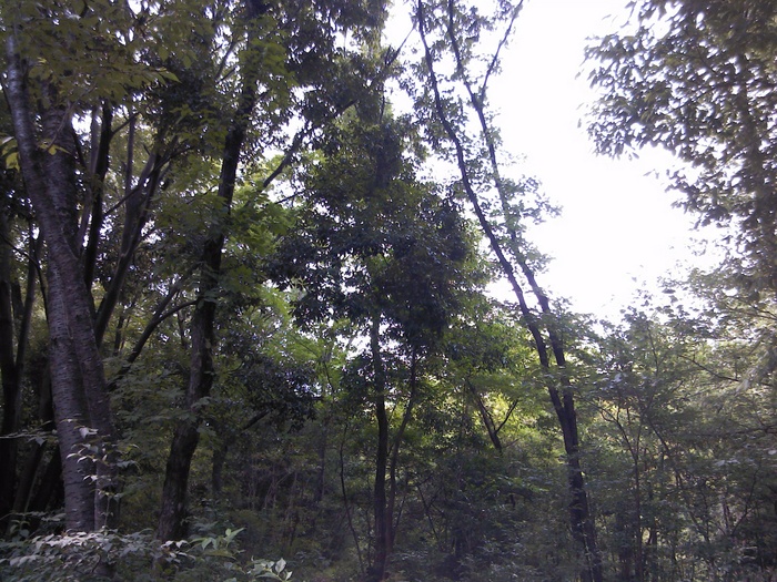 c0135480_17511371.jpg