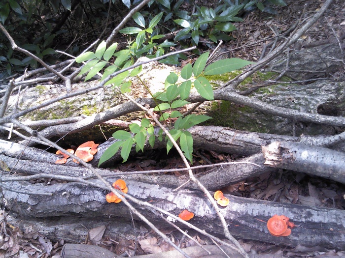 c0135480_17514623.jpg