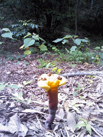 c0135480_17532297.jpg