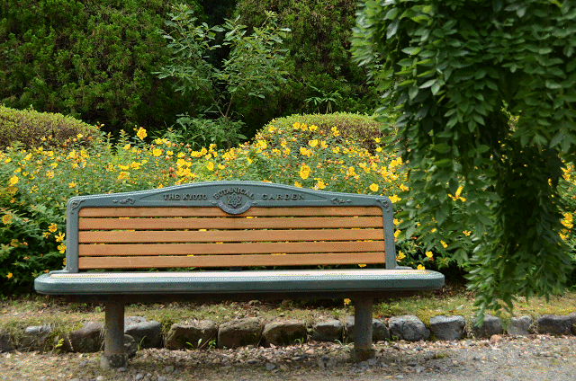 a0275782_21283868.gif