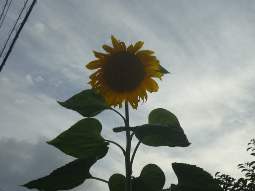 c0182782_23103576.jpg