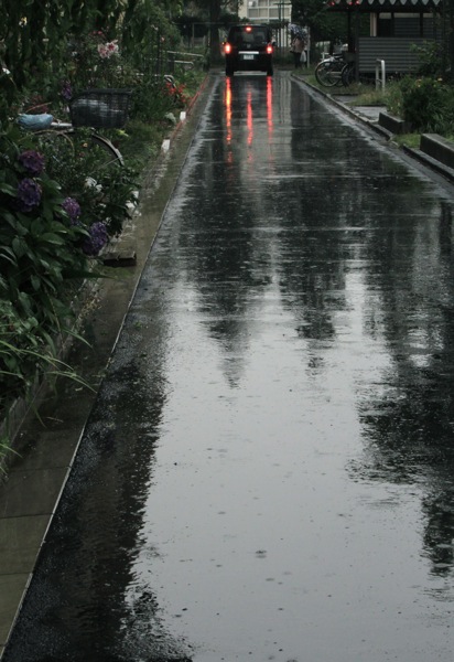 d0164185_141559.jpg