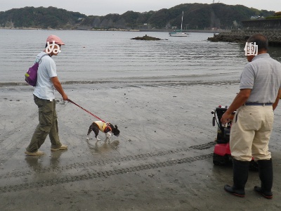 朝市はしご　三崎＆葉山_b0033186_16204651.jpg