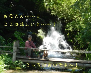 f0205887_95022.jpg