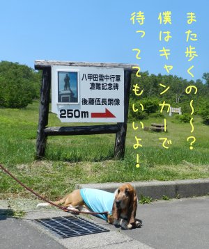 f0205887_97543.jpg
