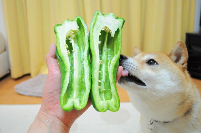 びっくりピーマン_a0126590_22193333.jpg