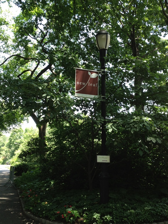 e0161692_109712.jpg