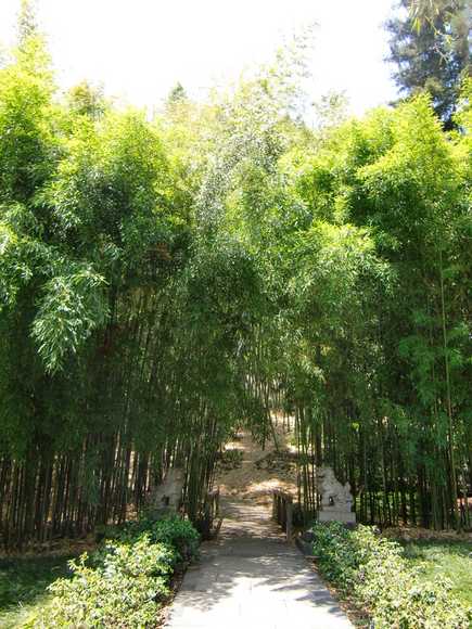 e0161692_45931.jpg