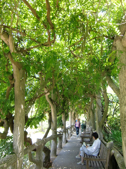 e0161692_6574869.jpg