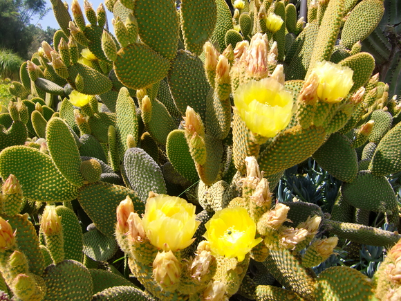 e0161692_725193.jpg