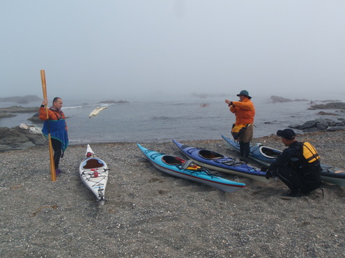 えりも岬あざらしウオッチングシーカヤックツアー