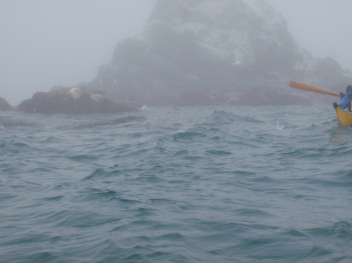 えりも岬あざらしウオッチングシーカヤックツアー_d0198793_1336795.jpg
