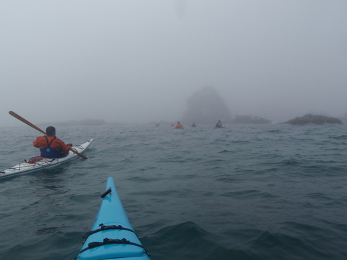 えりも岬あざらしウオッチングシーカヤックツアー_d0198793_1453490.jpg