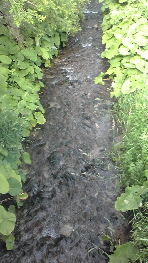 e0095194_12102924.jpg
