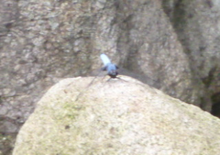 f0166694_19262476.jpg
