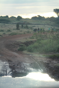 Kenya（９）アンボセリヘ500キロ超の移動_d0207297_13305480.jpg