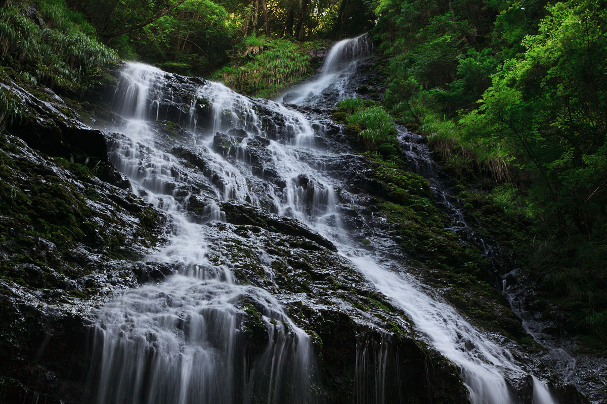 d0200900_232377.jpg