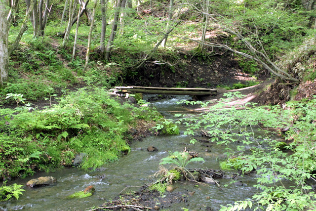 f0224506_8553528.jpg