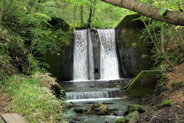 f0224506_944054.jpg