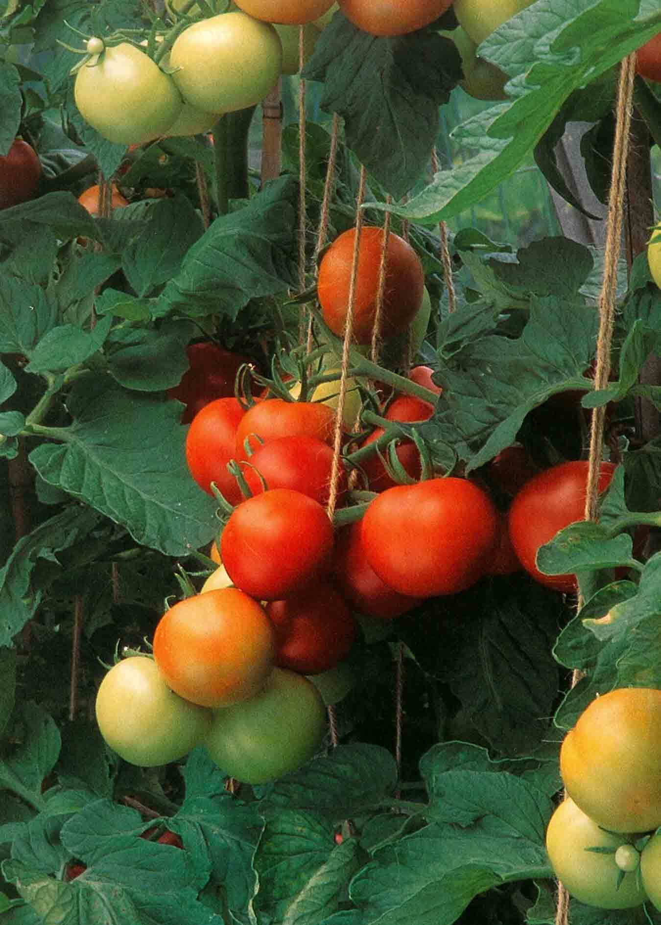 a0139007_1945746.jpg