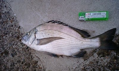 c0079207_226330.jpg
