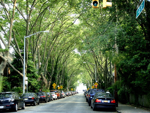 b0130809_162122.jpg