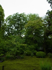 d0217110_2351325.jpg