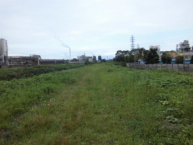 1ヶ月で伸びる夏草は強敵 滝川の土手の法面_f0141310_723466.jpg