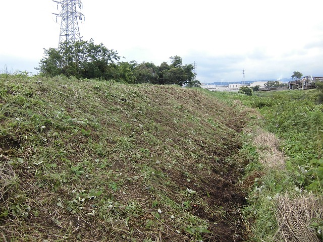 1ヶ月で伸びる夏草は強敵 滝川の土手の法面_f0141310_741843.jpg