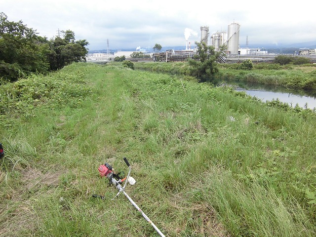 1ヶ月で伸びる夏草は強敵 滝川の土手の法面_f0141310_744113.jpg