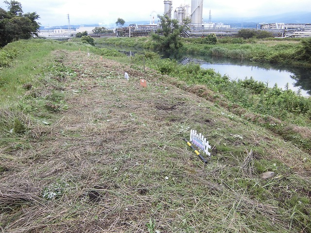 1ヶ月で伸びる夏草は強敵 滝川の土手の法面_f0141310_744826.jpg