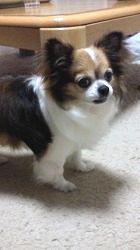 c0141011_9391997.jpg
